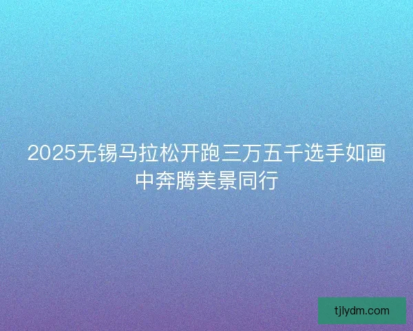 2025无锡马拉松开跑三万五千选手如画中奔腾美景同行
