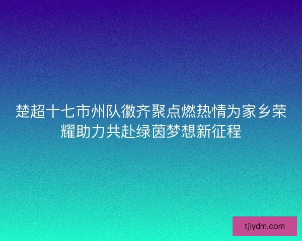 楚超十七市州队徽齐聚点燃热情为家乡荣耀助力共赴绿茵梦想新征程