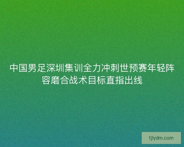 中国男足深圳集训全力冲刺世预赛年轻阵容磨合战术目标直指出线