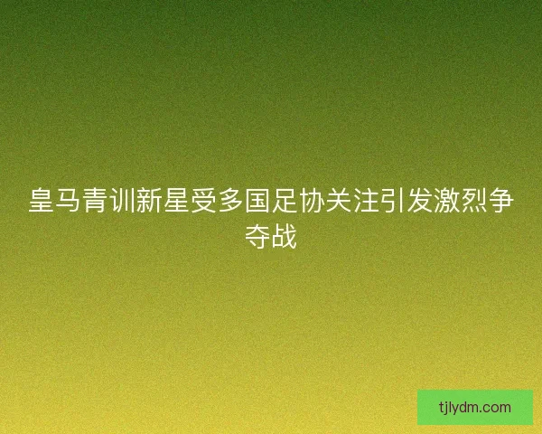 皇马青训新星受多国足协关注引发激烈争夺战