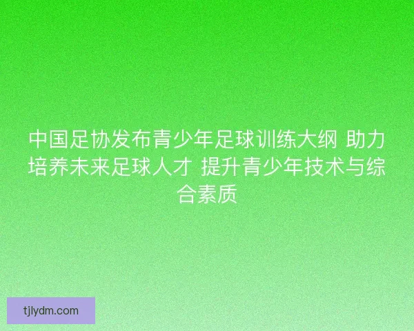 中国足协发布青少年足球训练大纲 助力培养未来足球人才 提升青少年技术与综合素质