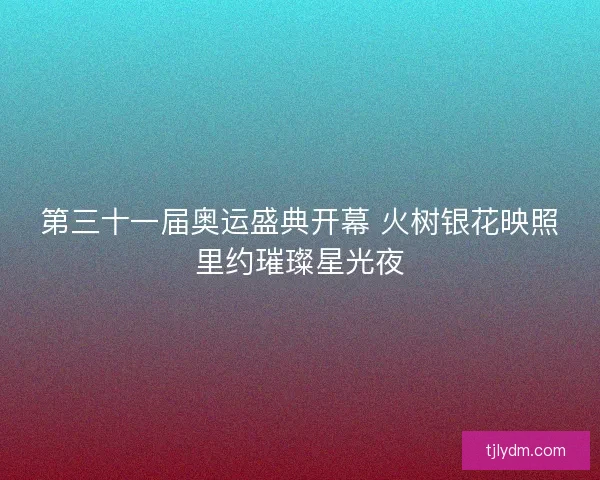 第三十一届奥运盛典开幕 火树银花映照里约璀璨星光夜
