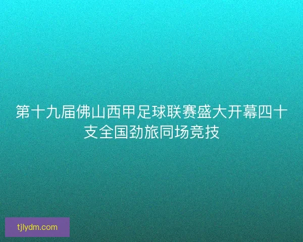 第十九届佛山西甲足球联赛盛大开幕四十支全国劲旅同场竞技